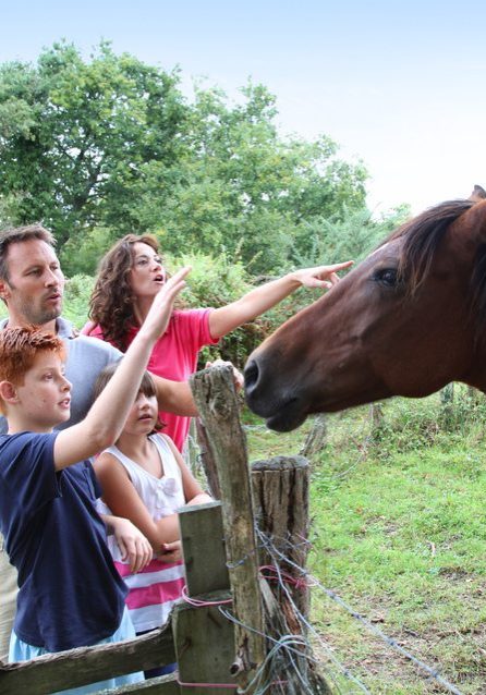 Parents and children petting horses in countryside